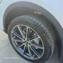 Audi Q5 AUDI Q5 2.0 TDI 190cv Quattro S-Tronic S LINE - thumbnail 6