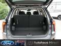 JAC Sonstige Motors PRO 7-Sitzer 360° Panoramadach LED Grau - thumbnail 33