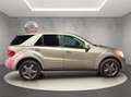 Mercedes-Benz ML 320 Dynamic Edition Beige - thumbnail 8