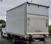 Renault Master T35 2.3 dCi/145 TP PM-SL-RG FURGONATO Twin Turbo Bianco - thumbnail 6