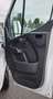 Renault Master T35 2.3 dCi/145 TP PM-SL-RG FURGONATO Twin Turbo Bianco - thumbnail 14
