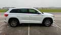 Skoda Kodiaq Kodiaq 2,0 TDI SCR 4x4 Sportline DSG Sportline Weiß - thumbnail 4