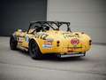 AC Cobra 427 Gruppe 4 GT 220 Rennwagen Gelb - thumbnail 10