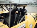 AC Cobra 427 Gruppe 4 GT 220 Rennwagen Gelb - thumbnail 25