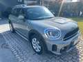 MINI Cooper SE Countryman Mini Countryman 1.5 Cooper SE Business all4 auto Grigio - thumbnail 2