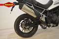 Triumph Tiger 900 GT Wit - thumbnail 10