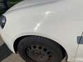 Volkswagen Golf Golf Trendline 1,2 TSI Trendline Weiß - thumbnail 13
