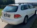 Volkswagen Golf Golf Trendline 1,2 TSI Trendline Weiß - thumbnail 4