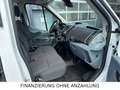 Ford Transit Kombi 350 L3 Trend 8Sitz+Lift+SthZ Bianco - thumbnail 8