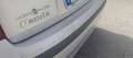 Fiat Panda Panda 1.4 natural power Dynamic Grigio - thumbnail 13