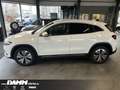 Mercedes-Benz EQA 350 EQA 350 4M Progr. Adv./AHK/360°/WDG/70 kW/+ Flex Weiß - thumbnail 5