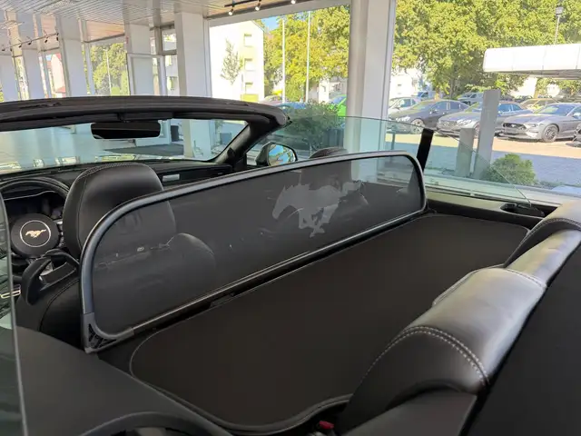 Ford Mustang view 9