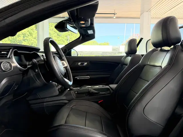 Ford Mustang view 11