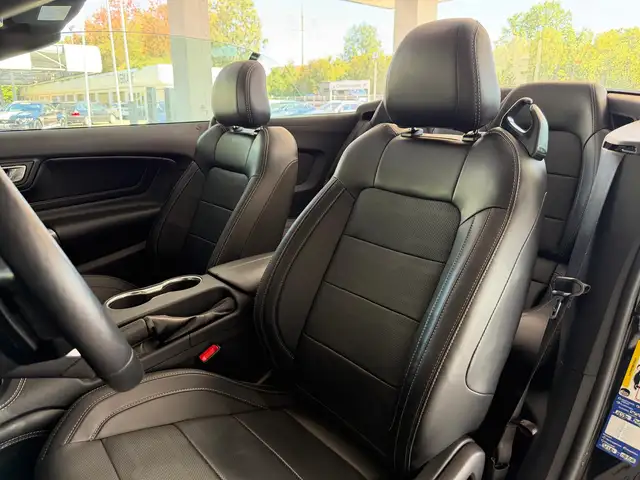 Ford Mustang view 12