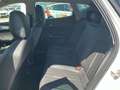 CUPRA Formentor 1.5 TSI 110kW (150 CV) DSG Blanco - thumbnail 19