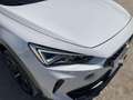 CUPRA Formentor 1.5 TSI 110kW (150 CV) DSG Blanco - thumbnail 9