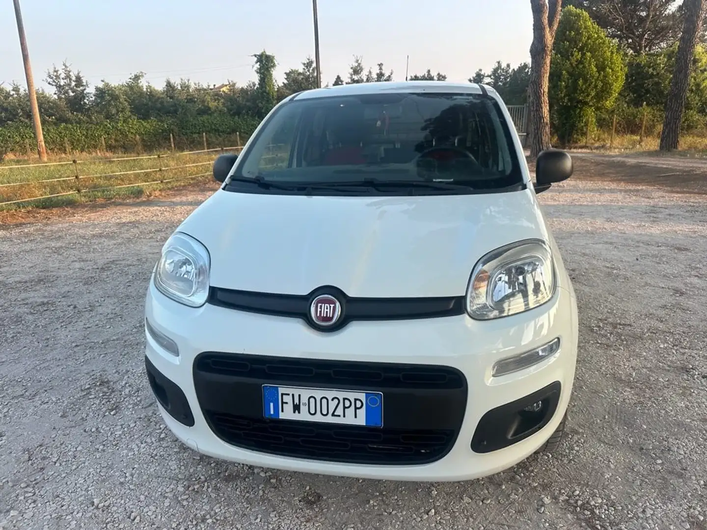 Fiat Panda 0.9 TwinAir Turbo S&S 4x4 Pop Van 2 posti Bianco - 2