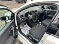 Volkswagen Polo V *DSG*SHZ*TEMPOM*KLIMAA Weiß - thumbnail 12