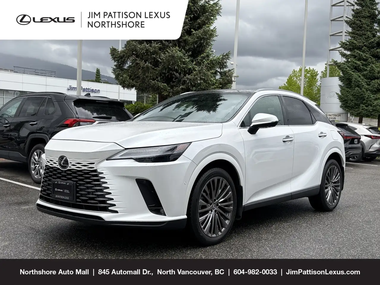 2024 Lexus RX