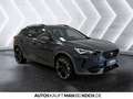 CUPRA Formentor VZ 2.0 TSI DSG BREMBO LED TOTWINK BEATS Grau - thumbnail 5