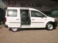 Volkswagen Caddy Nfz Kasten,mit Verglasung,nur 12900KM TOP! Blanc - thumbnail 2