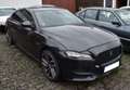 Jaguar XF R-Sport 3,0d  Black Pack acc Motorschaden Gris - thumbnail 1