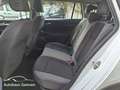 Volkswagen Golf Variant 2.0 TDI DSG Alltrack 4M AHK/Navi/Sthzg Blanc - thumbnail 7