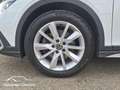 Volkswagen Golf Variant 2.0 TDI DSG Alltrack 4M AHK/Navi/Sthzg Blanc - thumbnail 5