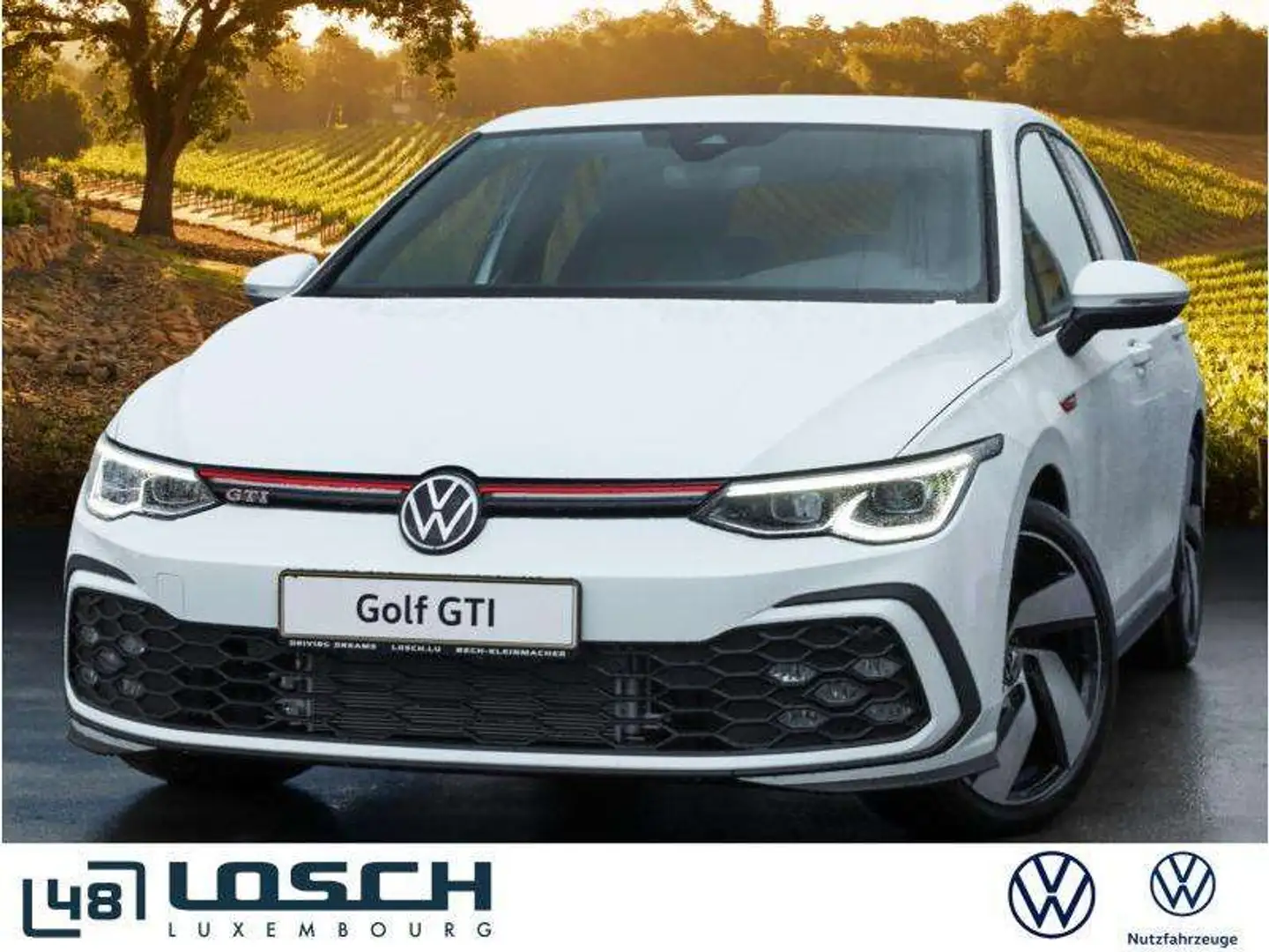 Volkswagen Golf GTI GTI 2.0 TSI 180 kW DSG7 Wit - 2