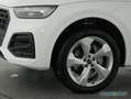 Audi Q5 40 TFSI qu S Line Leder,Navi,LED,Kamera Weiß - thumbnail 15