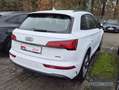 Audi Q5 40 TFSI qu S Line Leder,Navi,LED,Kamera Weiß - thumbnail 4