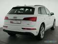 Audi Q5 40 TFSI qu S Line Leder,Navi,LED,Kamera Weiß - thumbnail 4