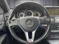 Mercedes-Benz E 250 Kamera/Leder/LED/AHK/Harman-Kardon/360Grad Braun - thumbnail 14