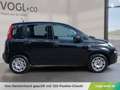 Fiat Panda 1,2 70 Easy Schwarz - thumbnail 8