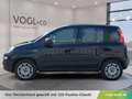 Fiat Panda 1,2 70 Easy Schwarz - thumbnail 2