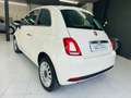 Fiat 500 1.0 Hybrid Cult 52kW Beige - thumbnail 5