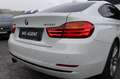 BMW 428 BMW 4er Gran Coupe 428i xDrive Motor 2,0  Sport Blanc - thumbnail 3