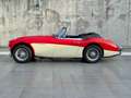 Austin-Healey 3000 MK2 BJ7 2+2 - Matching numbers and color Rot - thumbnail 2