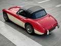 Austin-Healey 3000 MK2 BJ7 2+2 - Matching numbers and color Rot - thumbnail 3