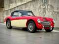 Austin-Healey 3000 MK2 BJ7 2+2 - Matching numbers and color Rot - thumbnail 7