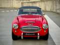 Austin-Healey 3000 MK2 BJ7 2+2 - Matching numbers and color Rot - thumbnail 8