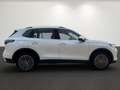 Volkswagen Tiguan 2.0 TDI Elegance DSG AHK Standh. Navi Weiß - thumbnail 4