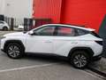 Hyundai TUCSON 1.6 T-GDi Hybrid 230 BVA Business Blanc - thumbnail 37