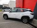 Hyundai TUCSON 1.6 T-GDi Hybrid 230 BVA Business Blanc - thumbnail 36
