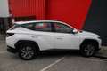 Hyundai TUCSON 1.6 T-GDi Hybrid 230 BVA Business Blanco - thumbnail 19