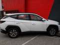 Hyundai TUCSON 1.6 T-GDi Hybrid 230 BVA Business Blanc - thumbnail 23