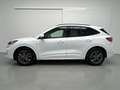 Ford Kuga 1.5 EcoBlue ST-Line FWD 120 Weiß - thumbnail 4