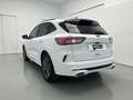 Ford Kuga 1.5 EcoBlue ST-Line FWD 120 Weiß - thumbnail 8