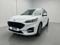 Ford Kuga 1.5 EcoBlue ST-Line FWD 120 Weiß - thumbnail 10