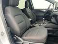Ford Kuga 1.5 EcoBlue ST-Line FWD 120 Wit - thumbnail 22